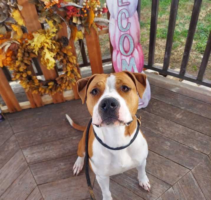 Photo of DEWIN IT GOOD