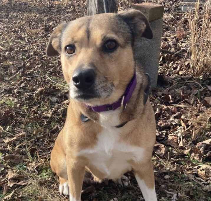 Photo of Amber (coming 1-6)