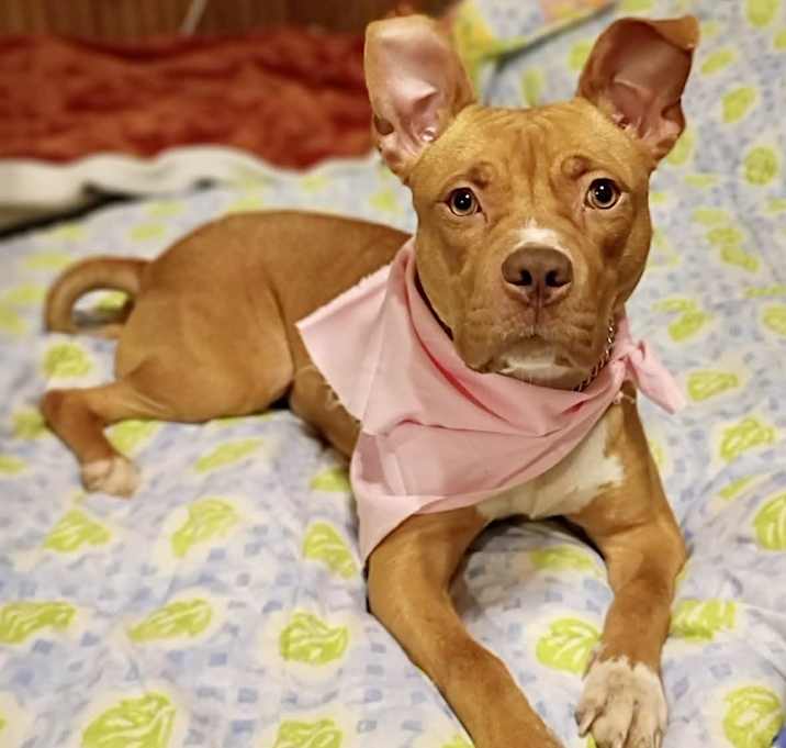 Photo of Noel - All around girl!!