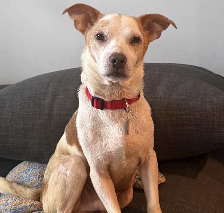 Photo of Snoopy von Senden