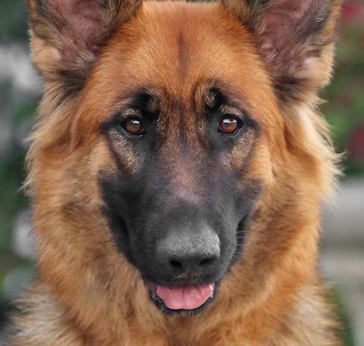 Photo of Phoebe von Dahlen