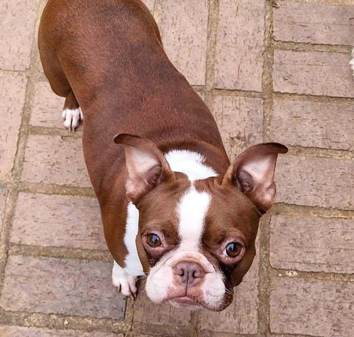 Photo of Ruby Mae-Rutherfordton, NC