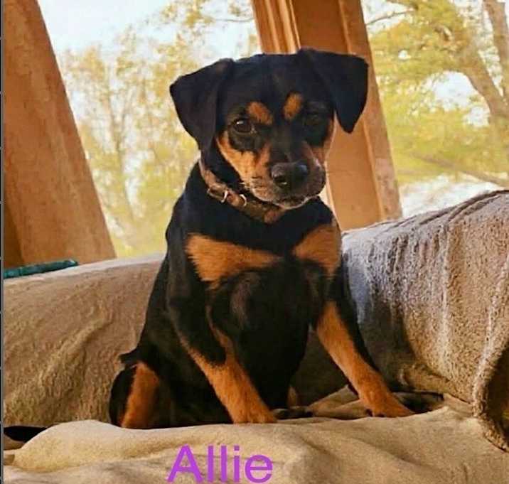 Photo of Allie Sue