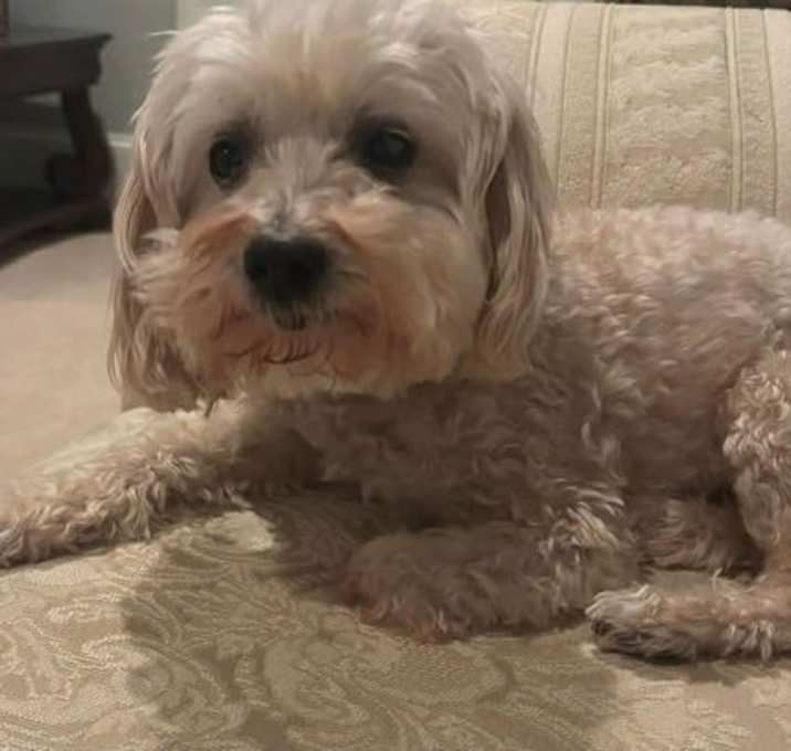 Photo of Skyler Faith