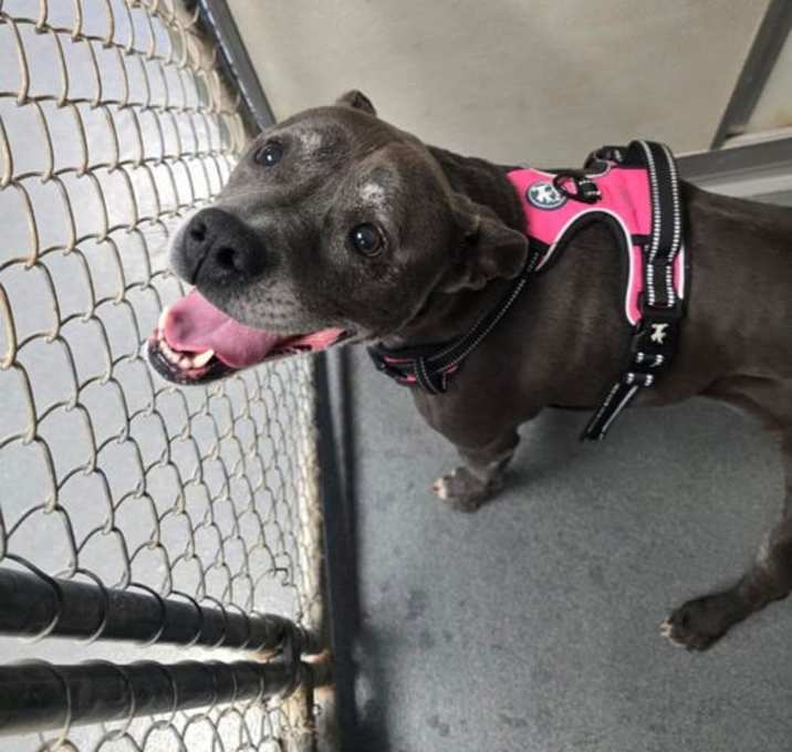 Photo of DA 33 Miss Claus