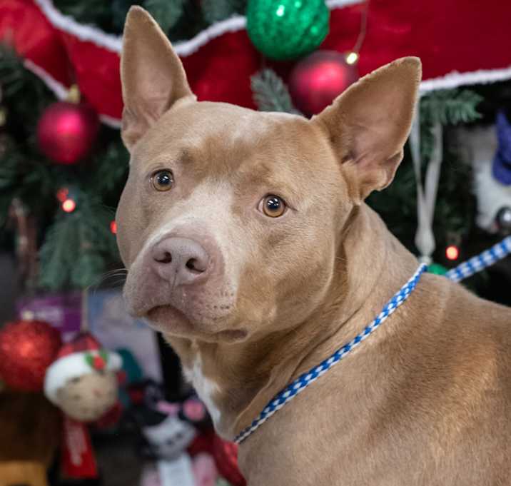 Photo of NORTH-30360