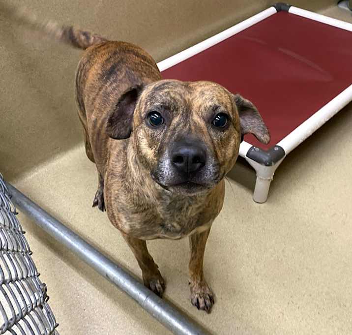 Photo of Sheila #21616