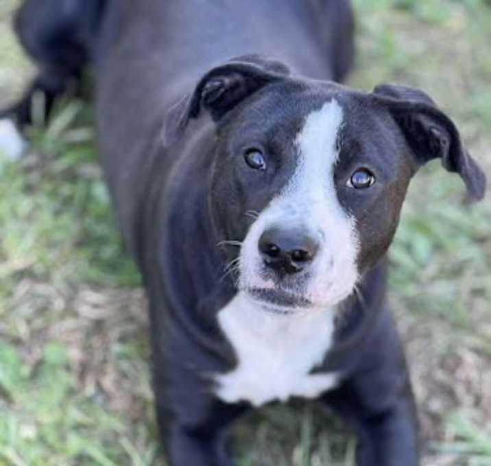 Photo of TRINITY/URGENT