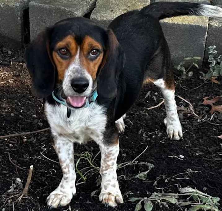 Photo of Stash Henson