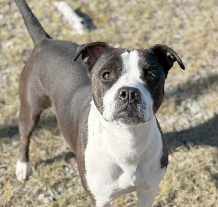 Photo of NUTMEG/URGENT