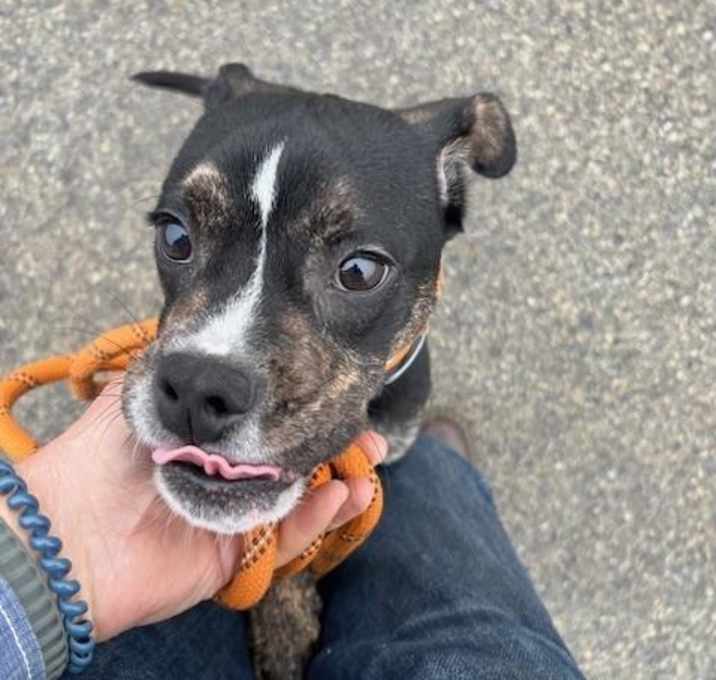 Photo of HEATED BLANKET