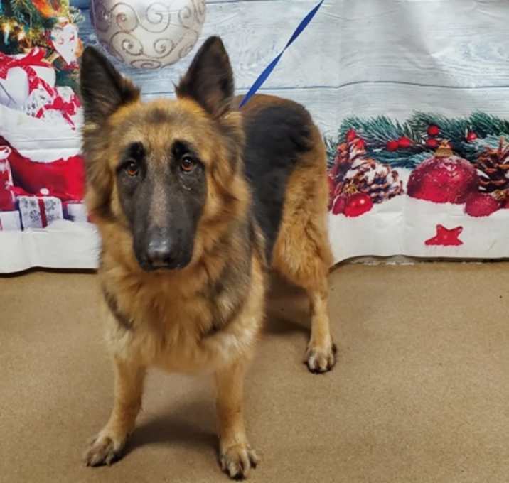 Photo of Bella Swan*