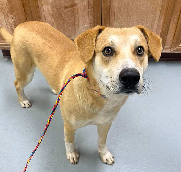 Photo of Brantley #21642