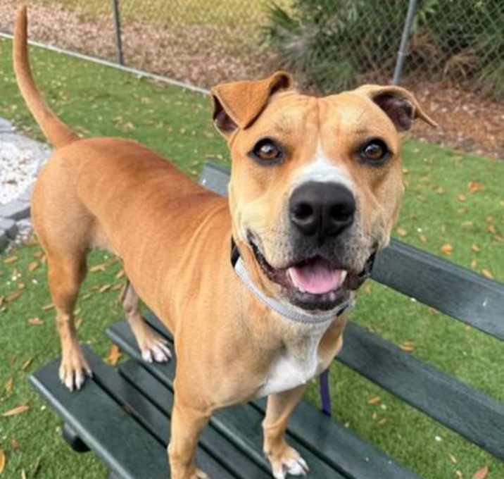 Photo of Clarice - 3