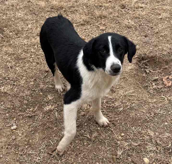 Photo of French Toast