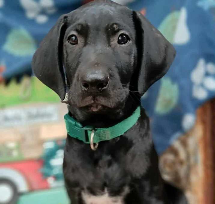 Photo of Jack Sparrow