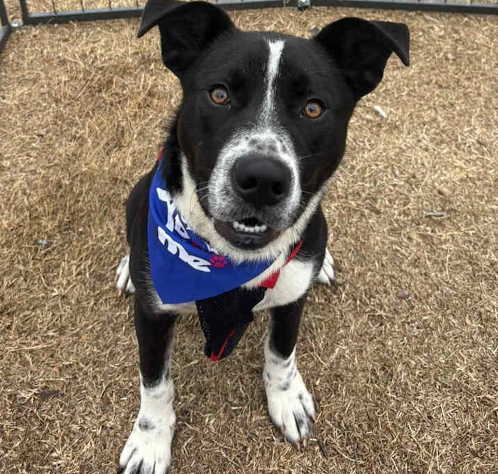 Photo of JEFFIE aka Louie