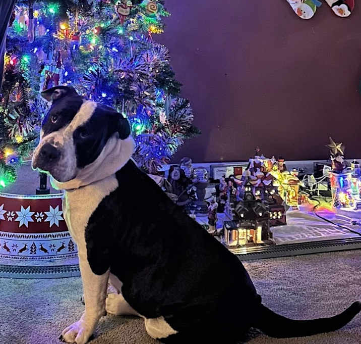 Photo of Bubble Blower