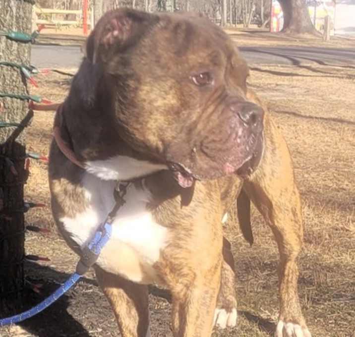 Photo of Billy Jim Bob