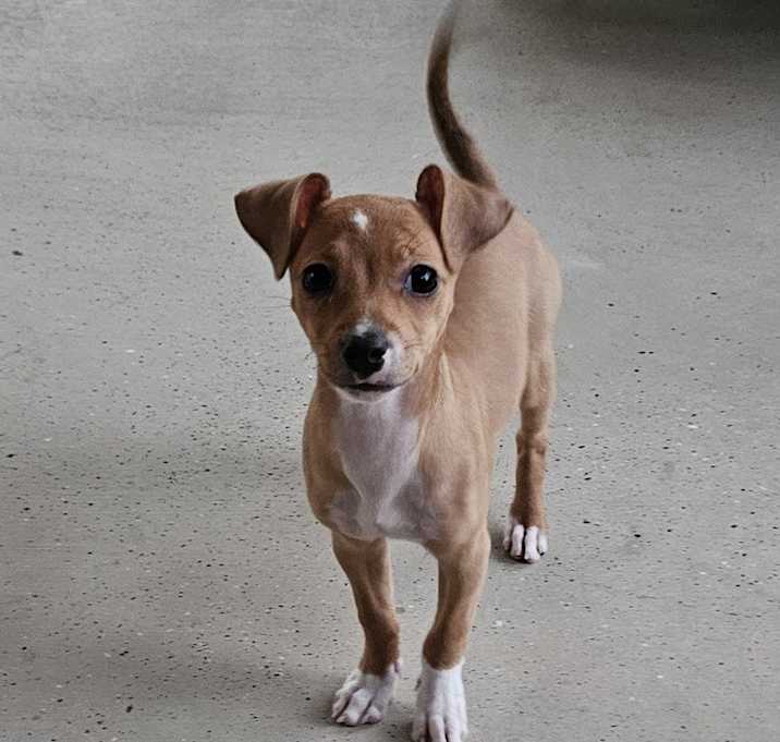 Photo of Tomb Raider