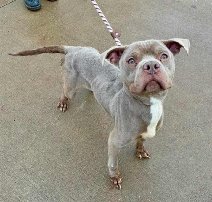 Photo of LET THE GOOD TIMES ROLL