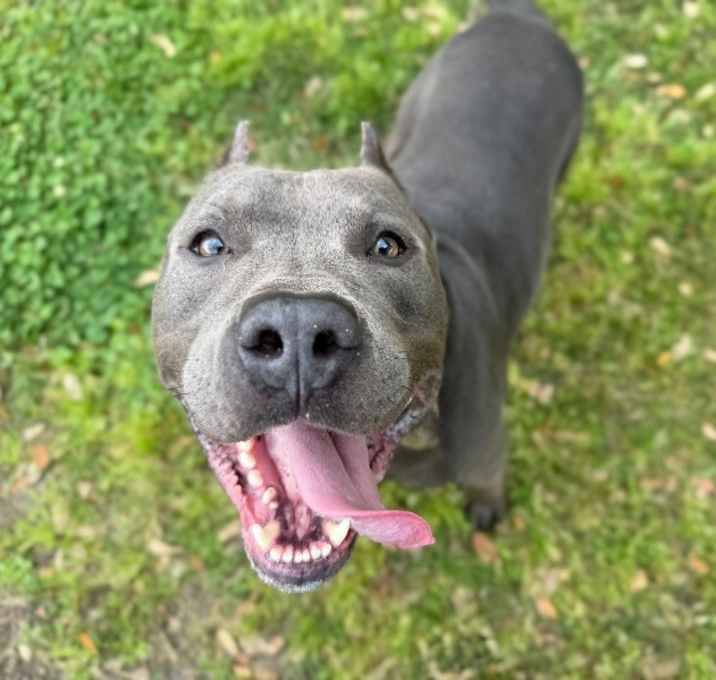 Photo of Blu True best friend to you