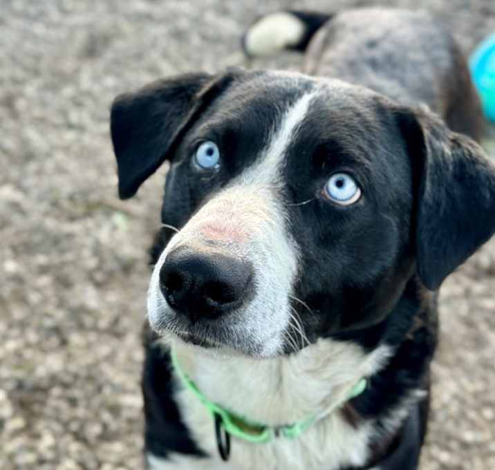 Photo of SIDNEY CROSBY