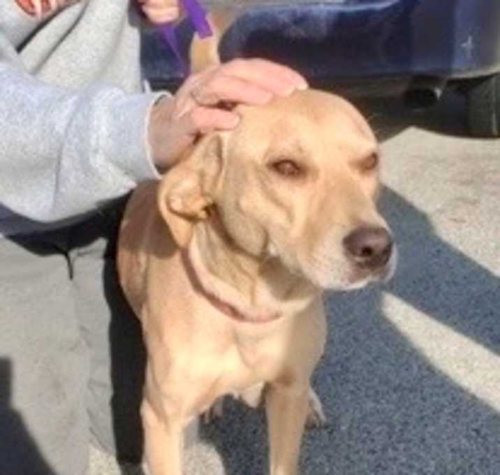 Photo of Harmony (Foster)