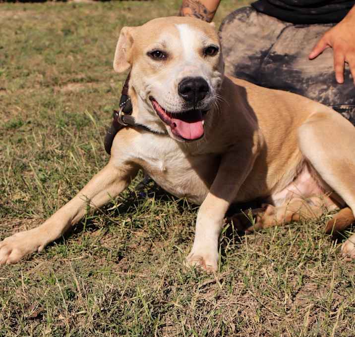 Photo of Sandler JuM