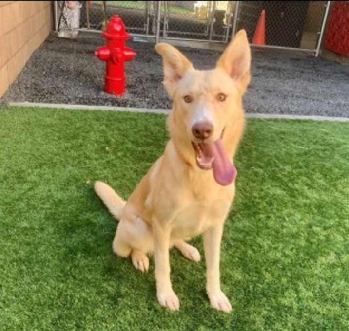 Photo of URGENT! Save Me Please