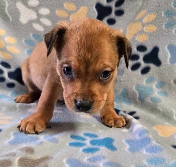 Photo of Connecticut