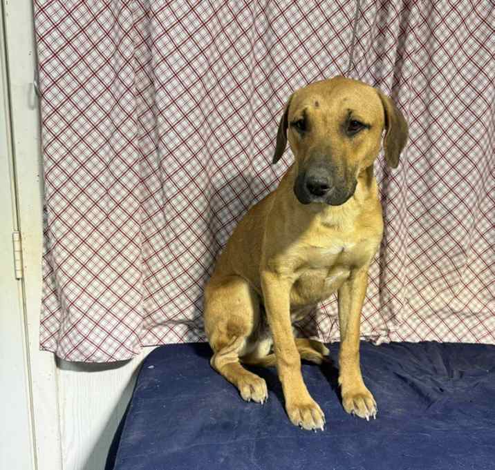 Photo of Cap n Crunch