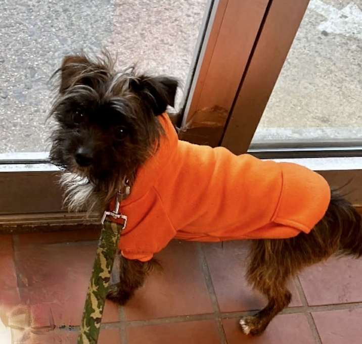 Photo of Taz Bennett