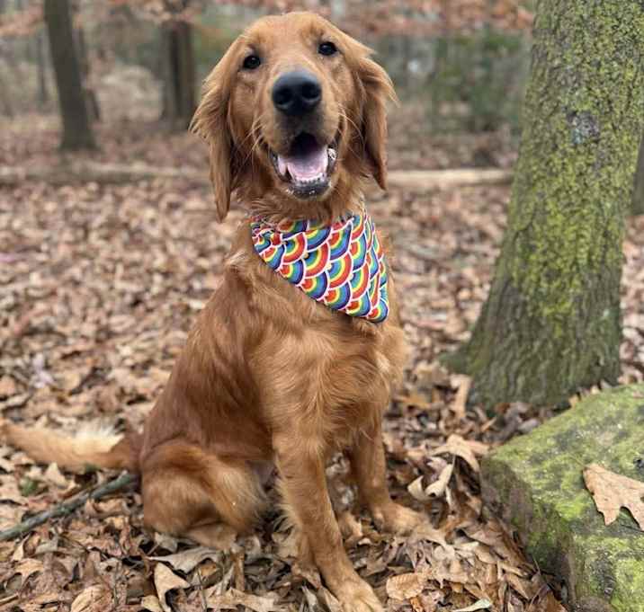 Photo of Zuzu Petals