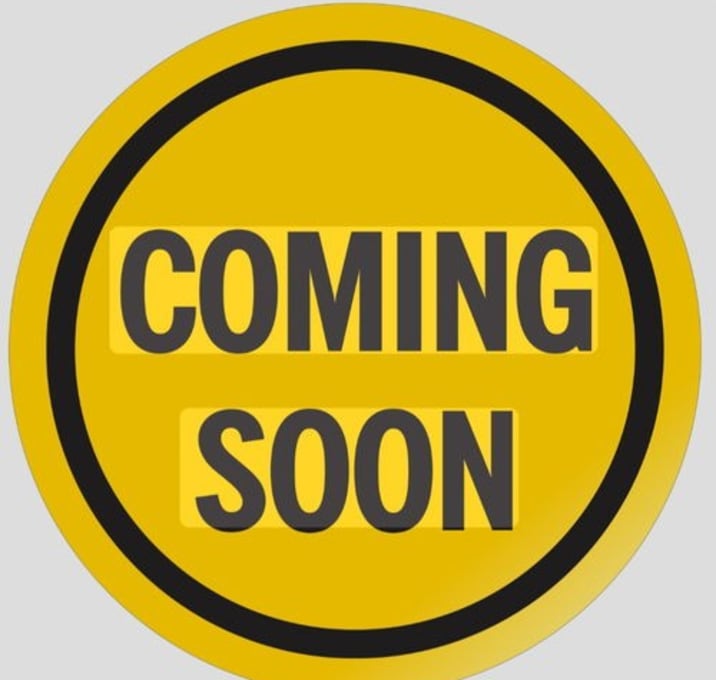 Photo of Teddy- available soon