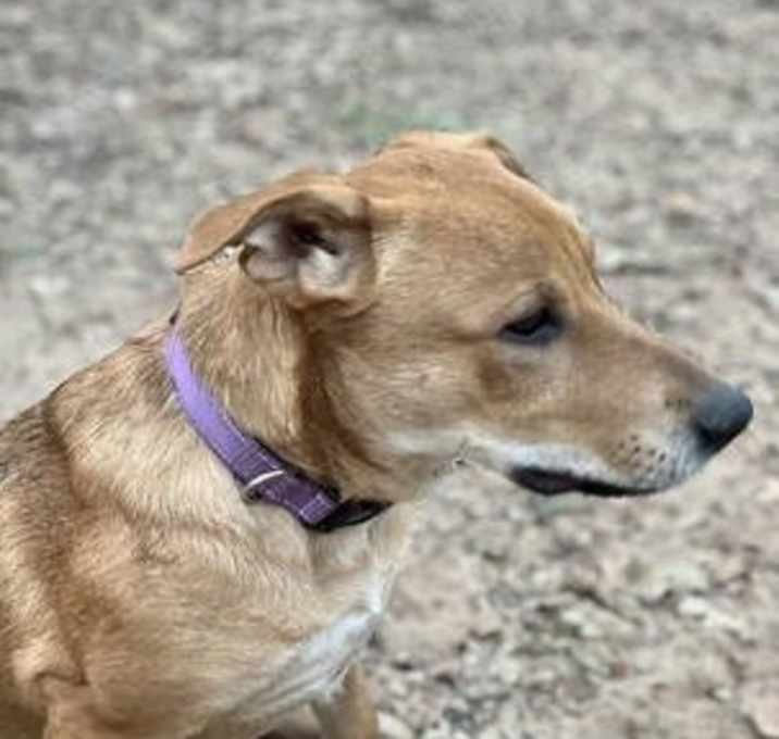 Photo of Edward Hopper