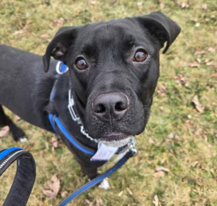 Photo of Lunatomiti(Socks)