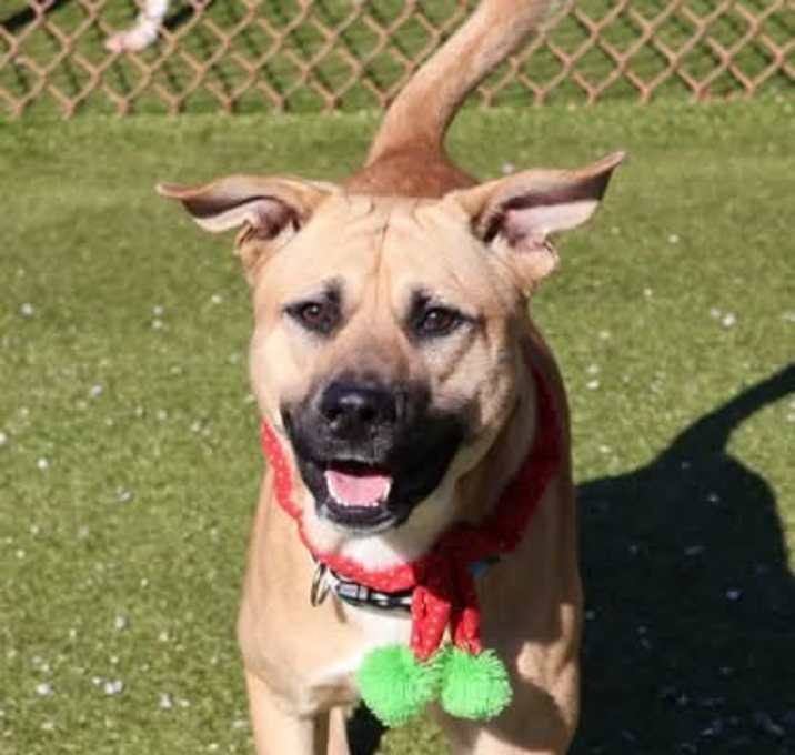 Photo of Doug Athens