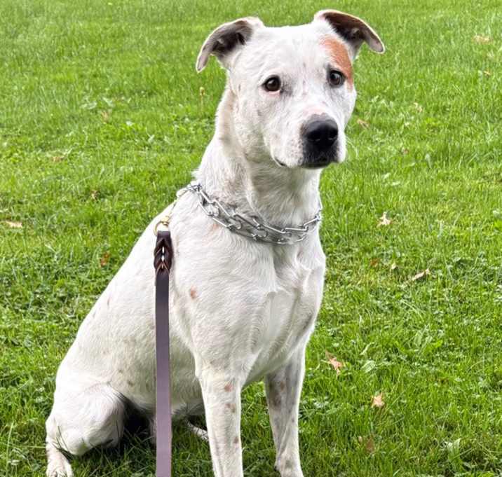 Photo of Grover *Courtesy Cupid*