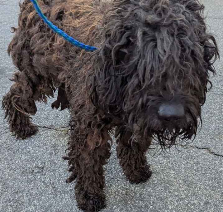 Photo of 25-12-3687 Larkin