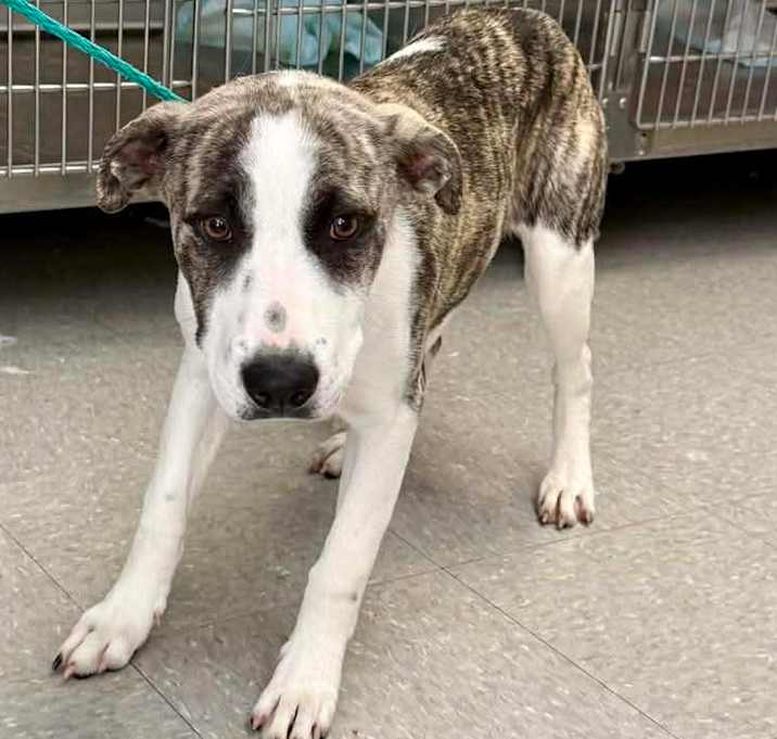 Photo of Bali 25-11-136