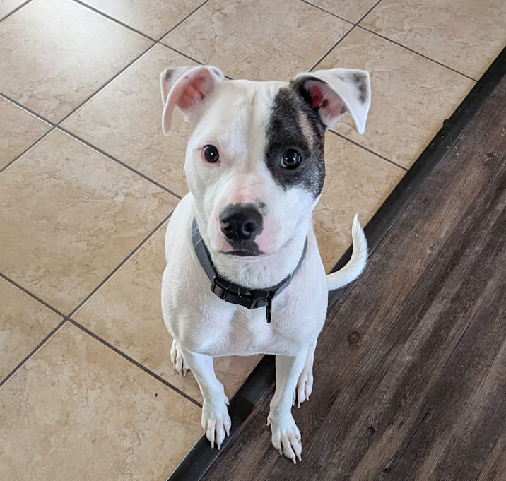 Photo of Rupert C-34472