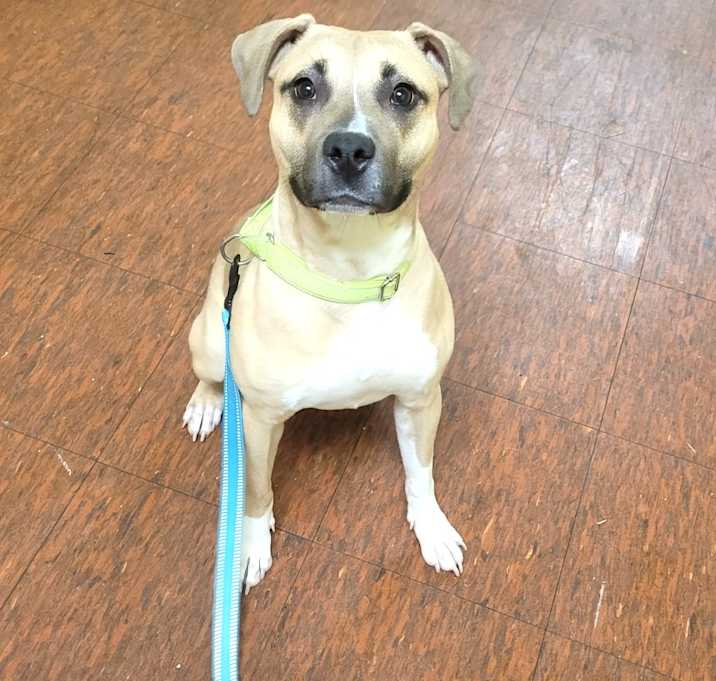 Photo of Jewel (Sponsored)