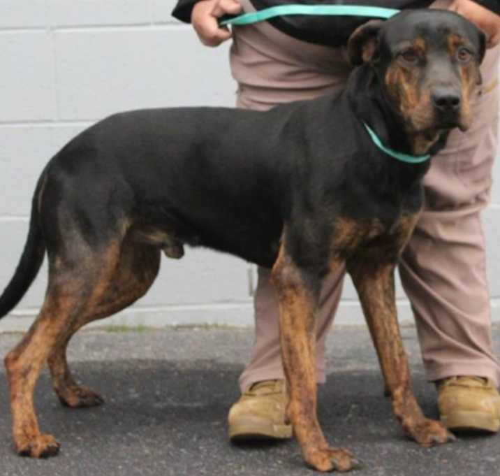 Photo of Stan URGENT PLEASE HELP 🙏🏻