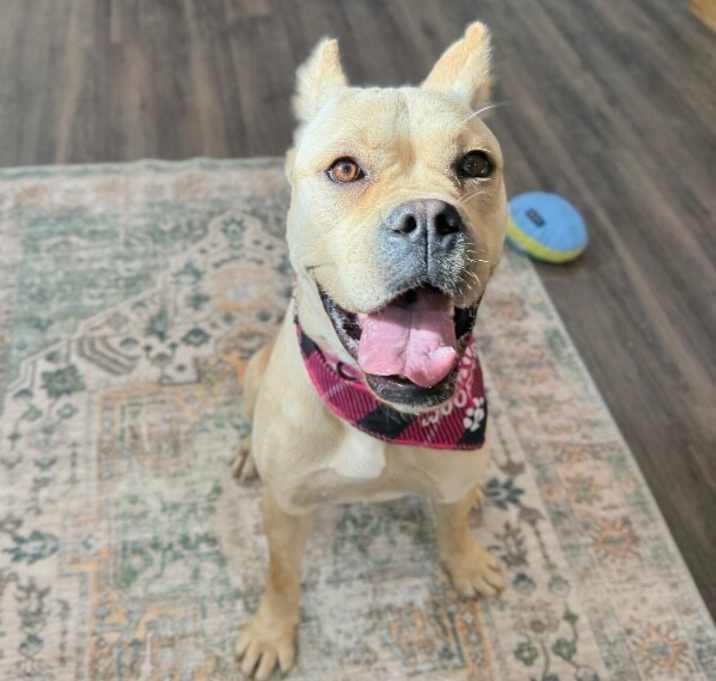 Photo of Piper Squishy Lovebug