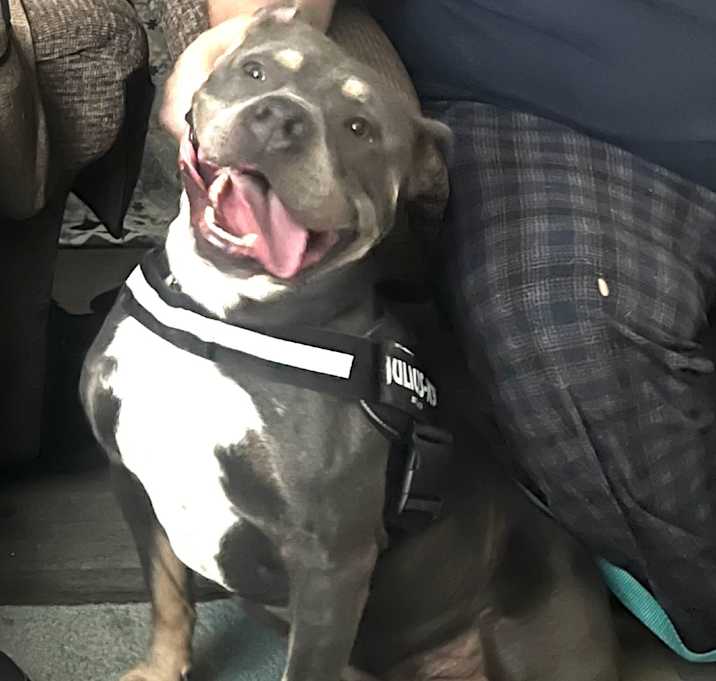 Photo of Professor Charles Xavier