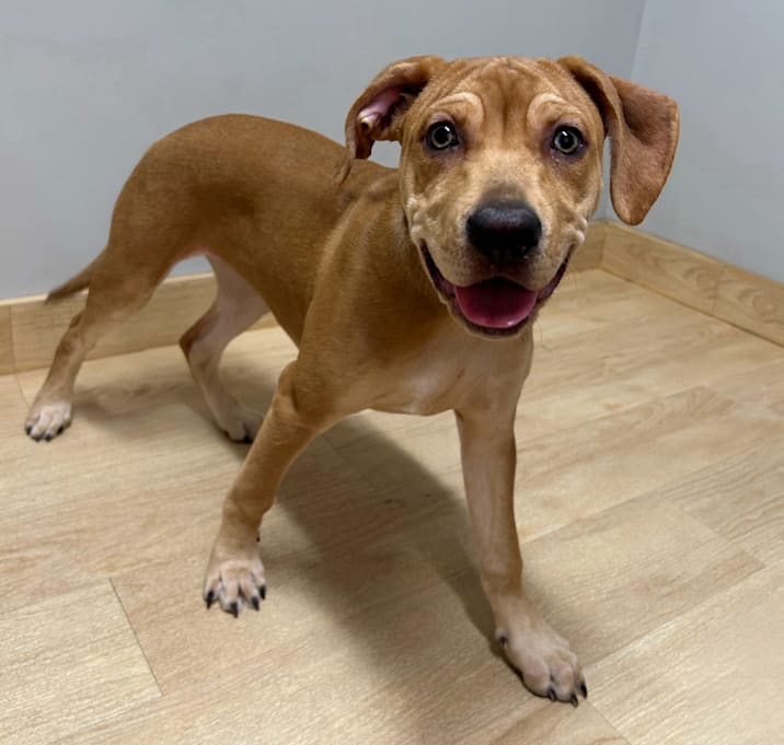 Photo of Patsy D66794