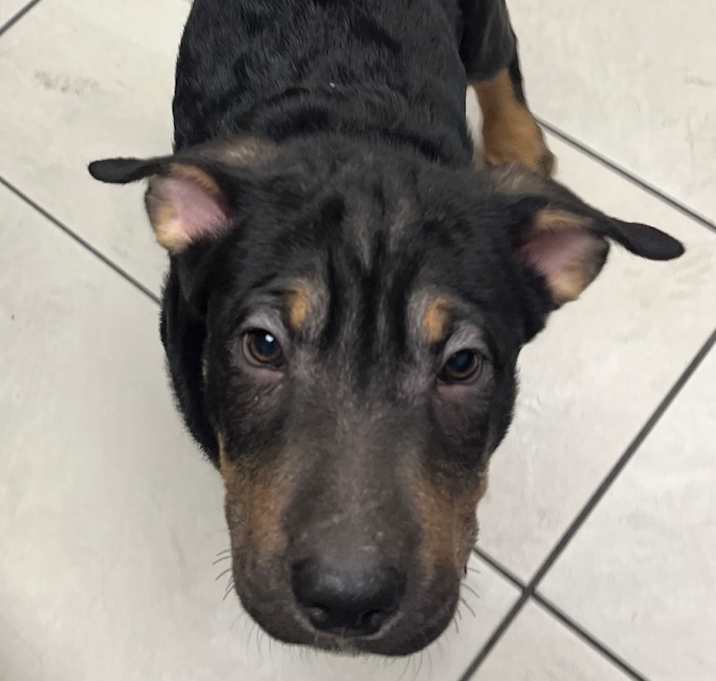 Photo of Holly Holms