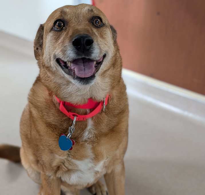 Photo of Drake - Busy Bee