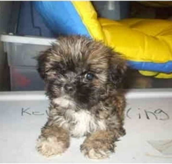 Photo of sammy